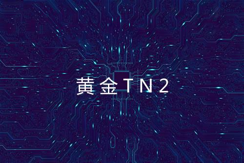 黄金TN2