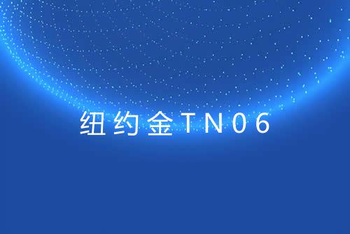 纽约金TN06
