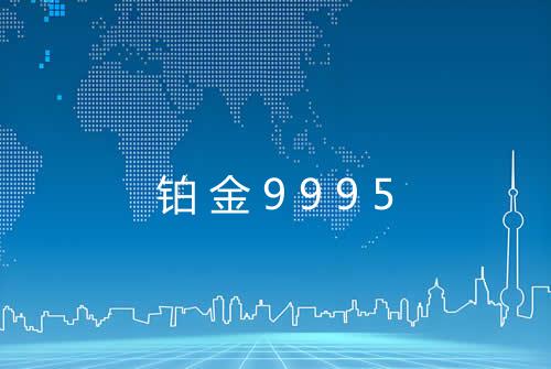 铂金9995