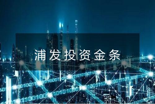 浦发投资金条