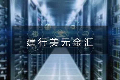 建行美元金汇