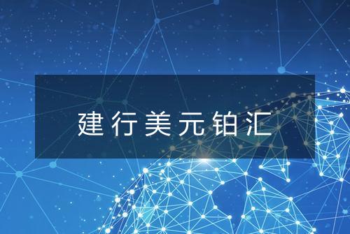 建行美元铂汇