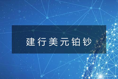 建行美元铂钞