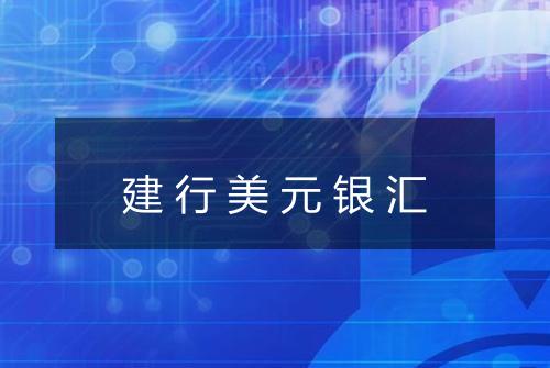 建行美元银汇