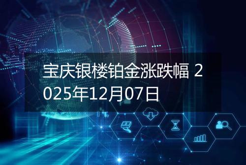宝庆银楼铂金涨跌幅 2025年12月07日